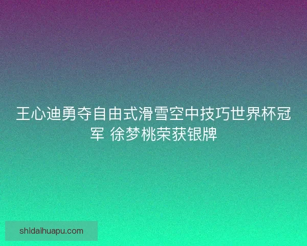 王心迪勇夺自由式滑雪空中技巧世界杯冠军 徐梦桃荣获银牌