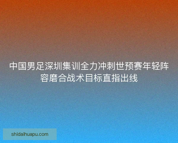 中国男足深圳集训全力冲刺世预赛年轻阵容磨合战术目标直指出线