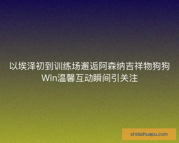 以埃泽初到训练场邂逅阿森纳吉祥物狗狗Win温馨互动瞬间引关注 以埃泽初到训练场邂逅阿森纳吉祥物狗狗Win温馨互动瞬间引关注